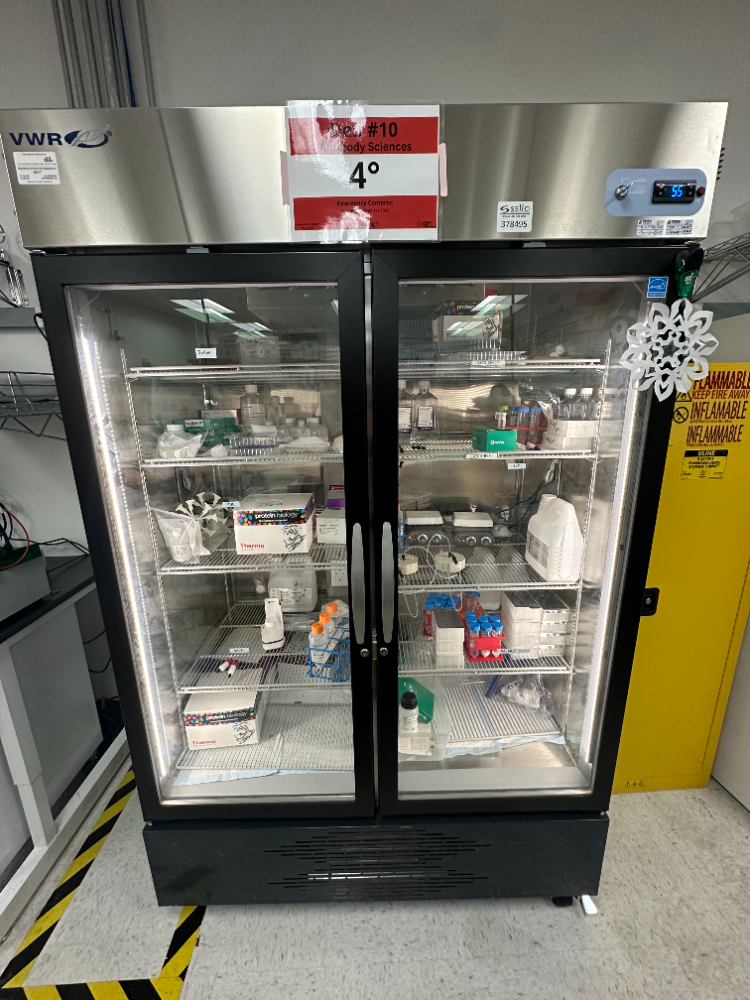 Image of VWR GTVWG49CSGA Double Door Refrigerator